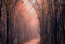 高能量密度電池：未來能源存儲的關鍵技術