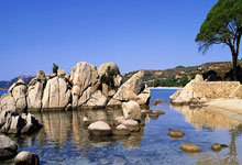 牽引蓄電池推薦:選擇適合您需求的最佳方案